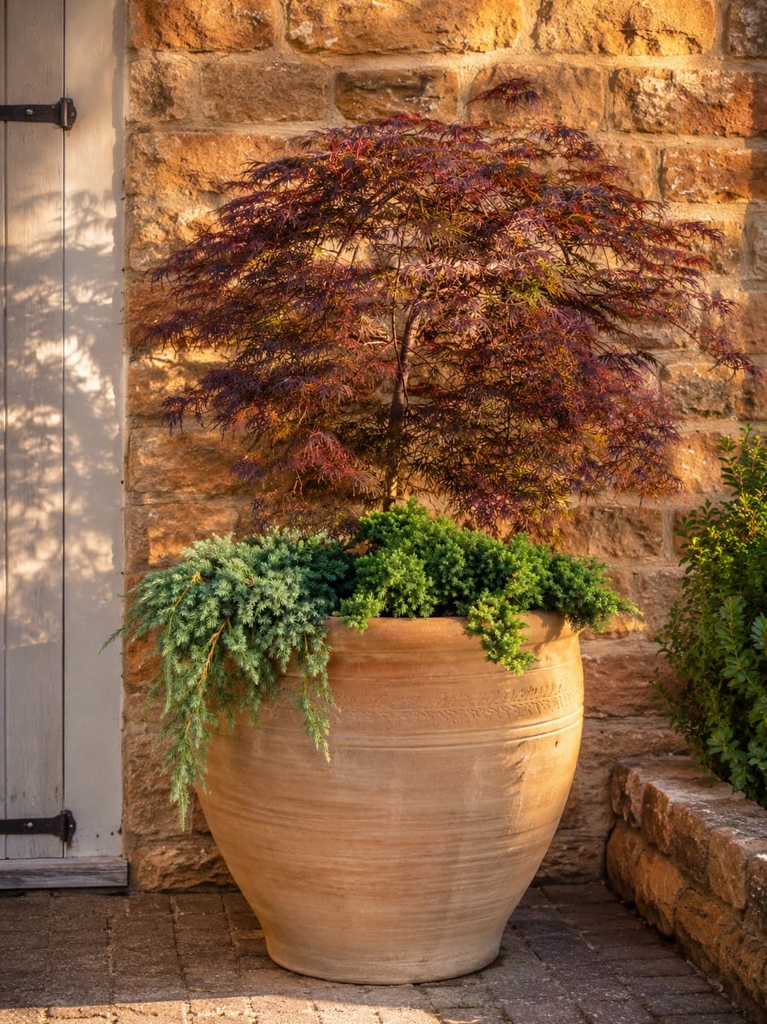 A completed planter composition positioned in-situ in a garden setting.