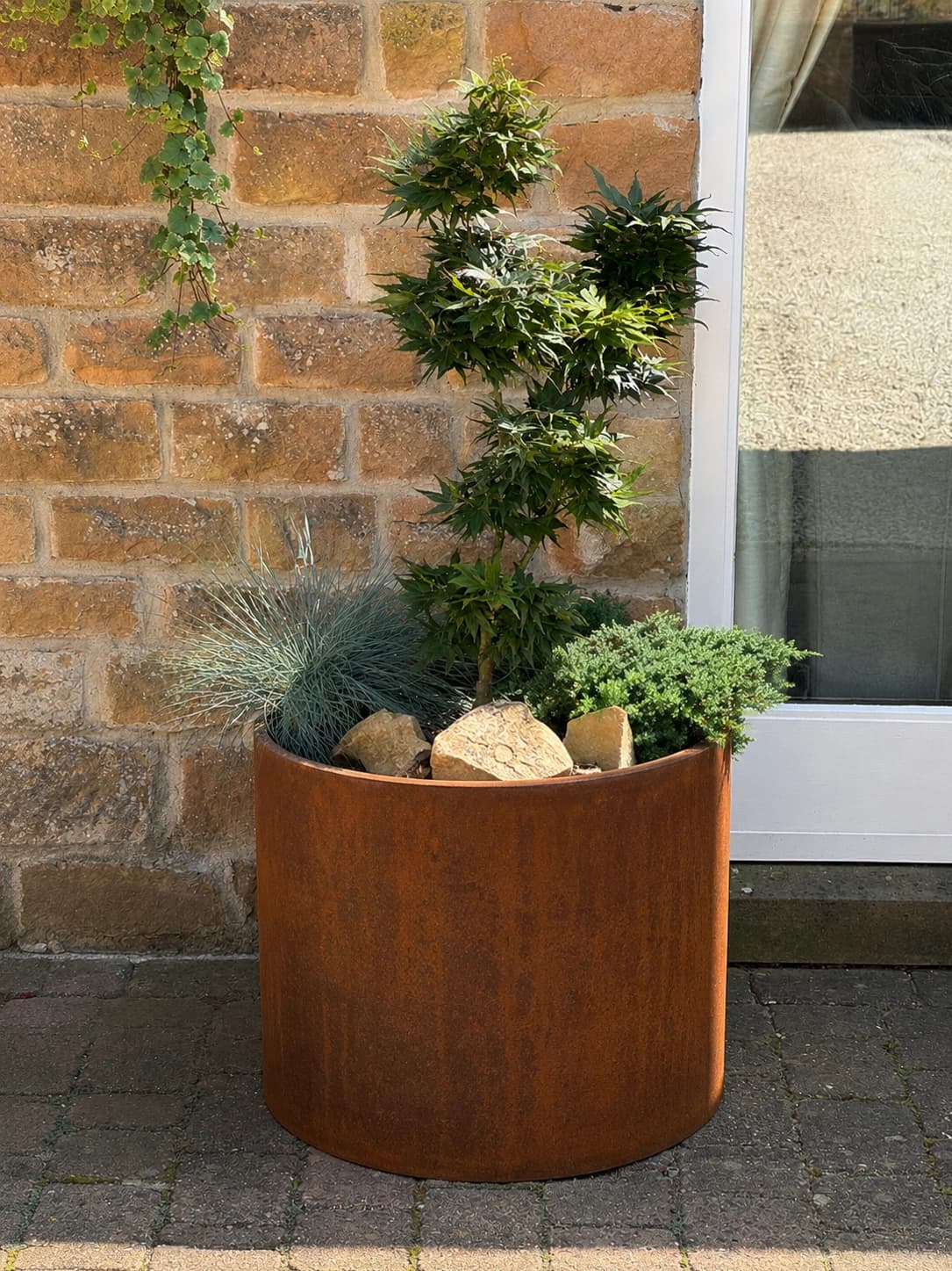 A mature Japanese conifer styled in a dark composite planter positioned against a stone wall.